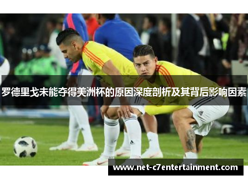 罗德里戈未能夺得美洲杯的原因深度剖析及其背后影响因素