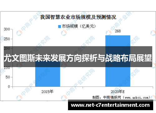 尤文图斯未来发展方向探析与战略布局展望