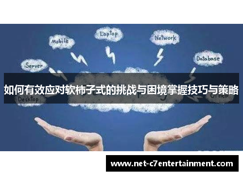 如何有效应对软柿子式的挑战与困境掌握技巧与策略