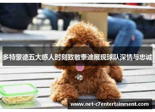 多特蒙德五大感人时刻致敬泰迪展现球队深情与忠诚