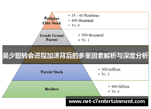 吴少聪转会进程加速背后的多重因素解析与深度分析