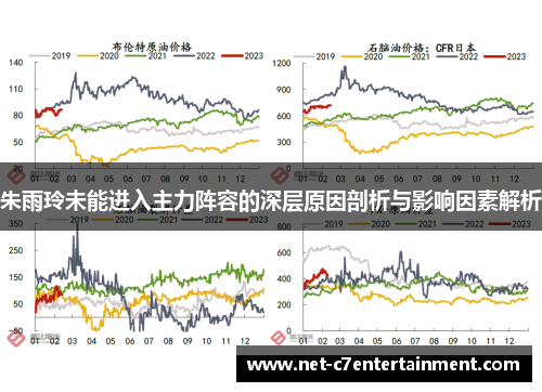朱雨玲未能进入主力阵容的深层原因剖析与影响因素解析