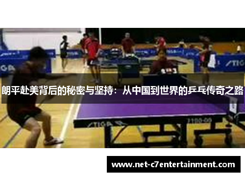 朗平赴美背后的秘密与坚持：从中国到世界的乒乓传奇之路