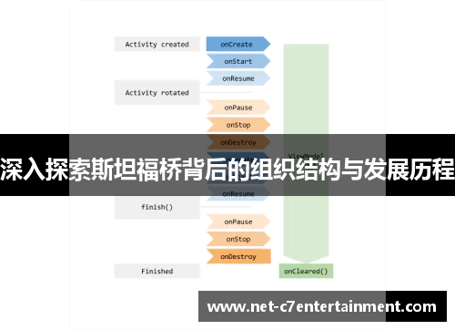 深入探索斯坦福桥背后的组织结构与发展历程