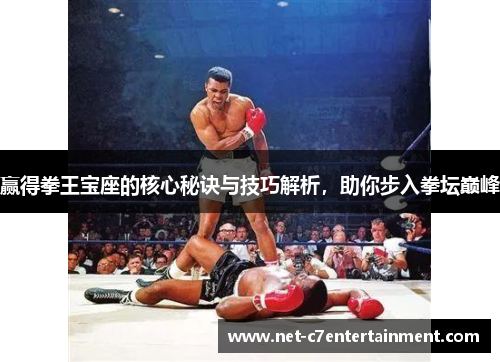 赢得拳王宝座的核心秘诀与技巧解析，助你步入拳坛巅峰