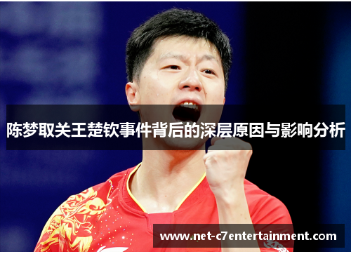 陈梦取关王楚钦事件背后的深层原因与影响分析