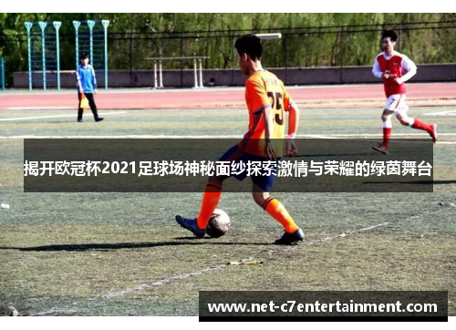 揭开欧冠杯2021足球场神秘面纱探索激情与荣耀的绿茵舞台