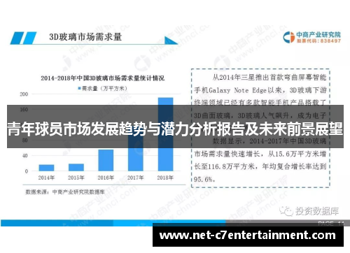 青年球员市场发展趋势与潜力分析报告及未来前景展望