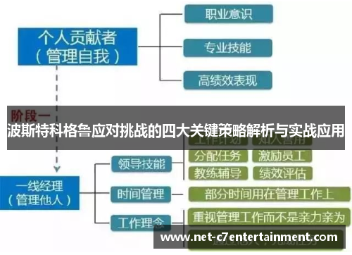 波斯特科格鲁应对挑战的四大关键策略解析与实战应用