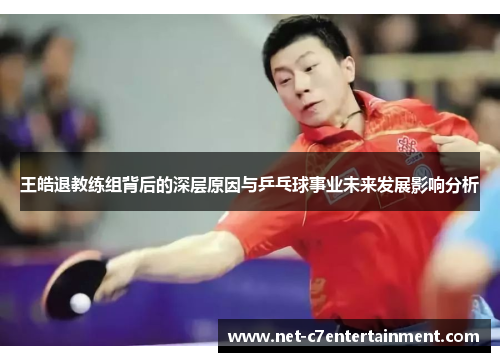 王皓退教练组背后的深层原因与乒乓球事业未来发展影响分析