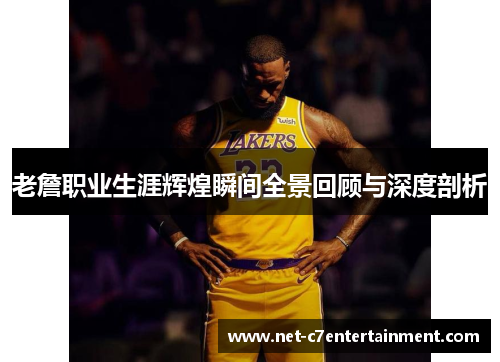 老詹职业生涯辉煌瞬间全景回顾与深度剖析