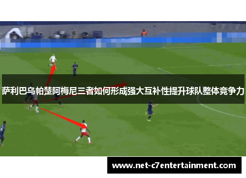 萨利巴乌帕楚阿梅尼三者如何形成强大互补性提升球队整体竞争力
