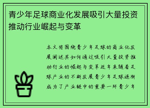 青少年足球商业化发展吸引大量投资推动行业崛起与变革 青少年足球商业化发展吸引大量投资推动行业崛起与变革