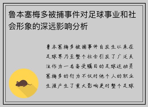 鲁本塞梅多被捕事件对足球事业和社会形象的深远影响分析