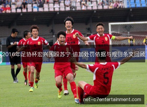 2016年足协杯宏兴围殴苏宁 追加处罚依据与规则条文回顾